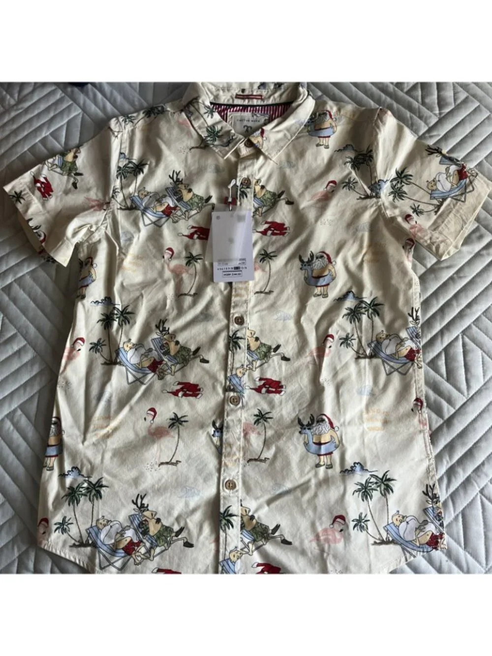 Cactus Boys brand new